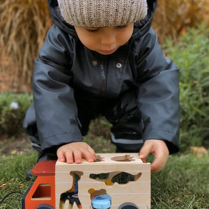 Shape Sorting Safari Truck
