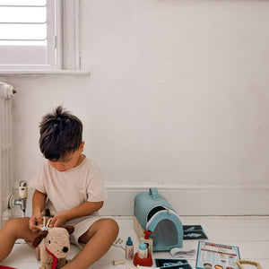 Animal Rescue Vet Set