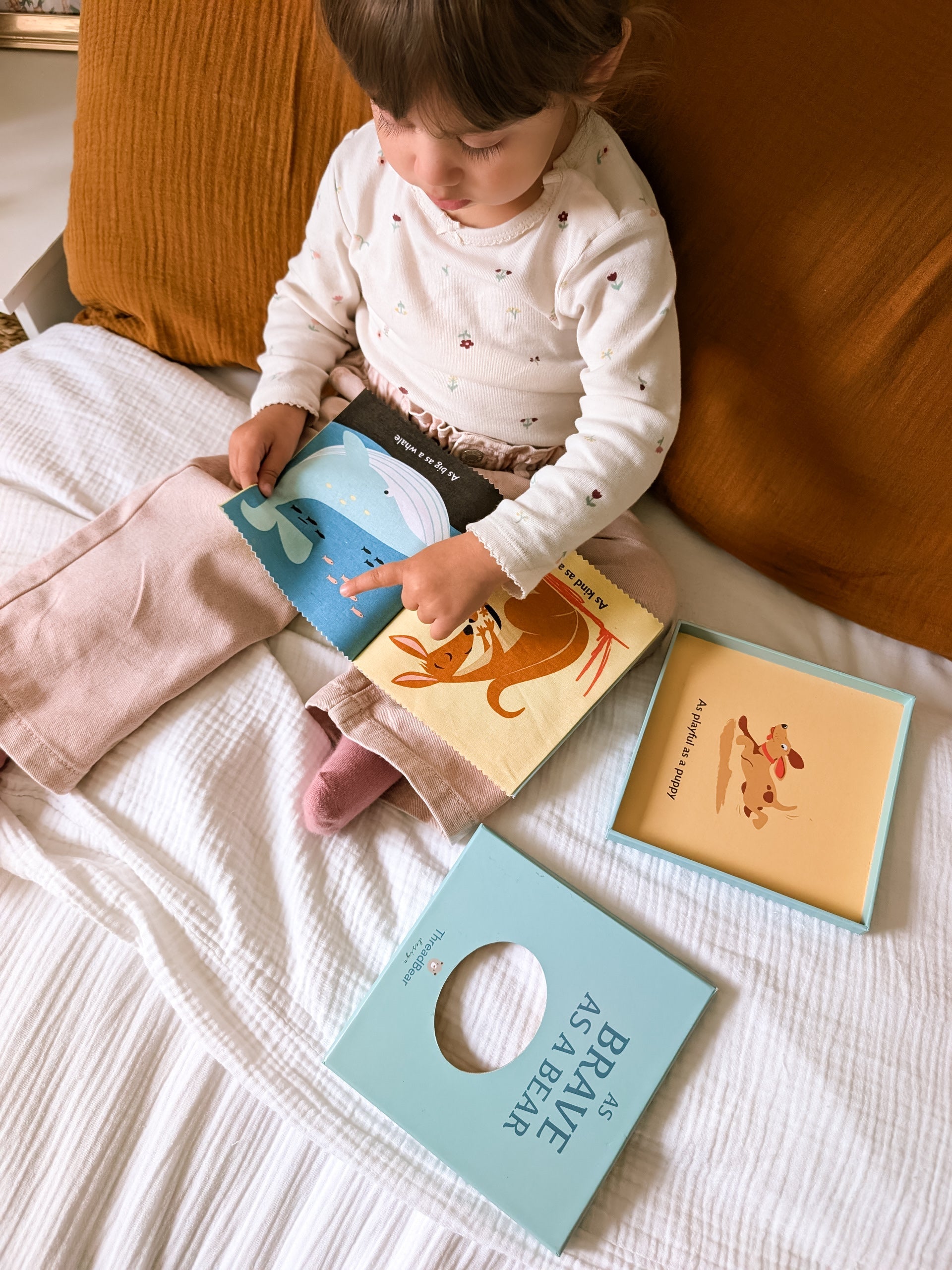 As Brave as a Bear Rag Book