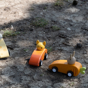 Animal Friends Racing cars
