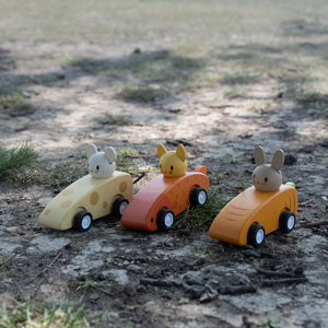 Animal Friends Racing cars