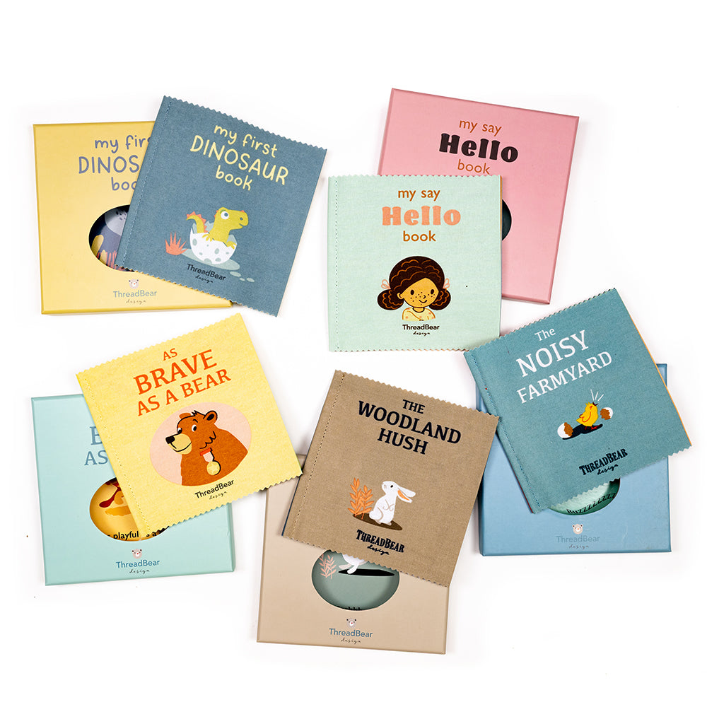 My First Dinosaur Book Rag Book
