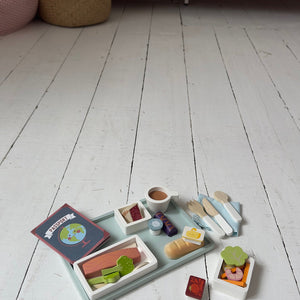Airline Meal Tray