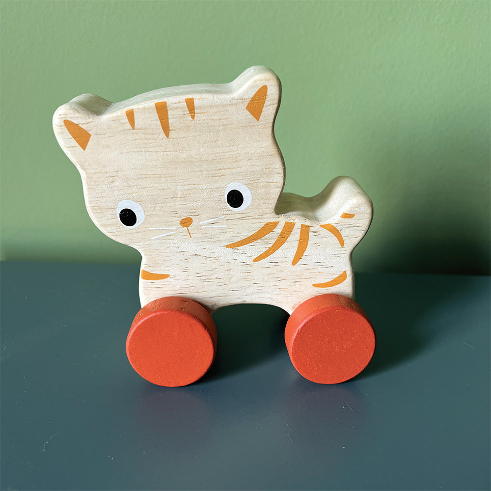 Kitten On Wheels