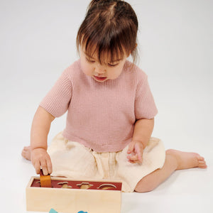 Pet Shape Sorting Box