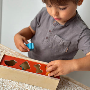 Pet Shape Sorting Box