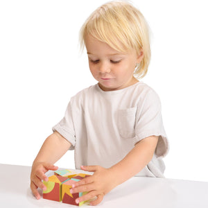 Toy Colour Blocks
