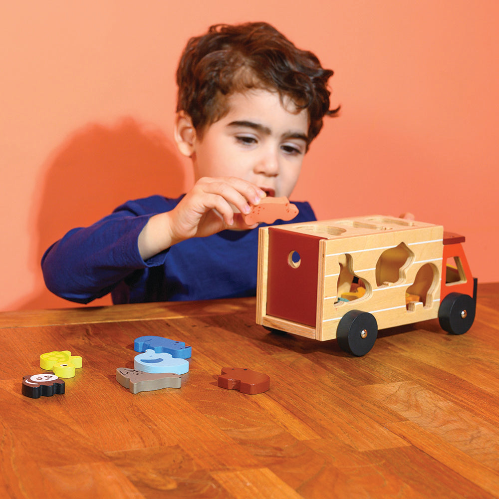 Shape Sorting Safari Truck