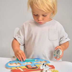 Shape Sorting Ark Tray