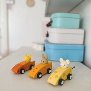 Animal Friends Racing cars