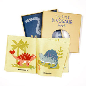My First Dinosaur Book Rag Book