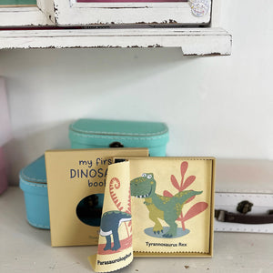 My First Dinosaur Book Rag Book