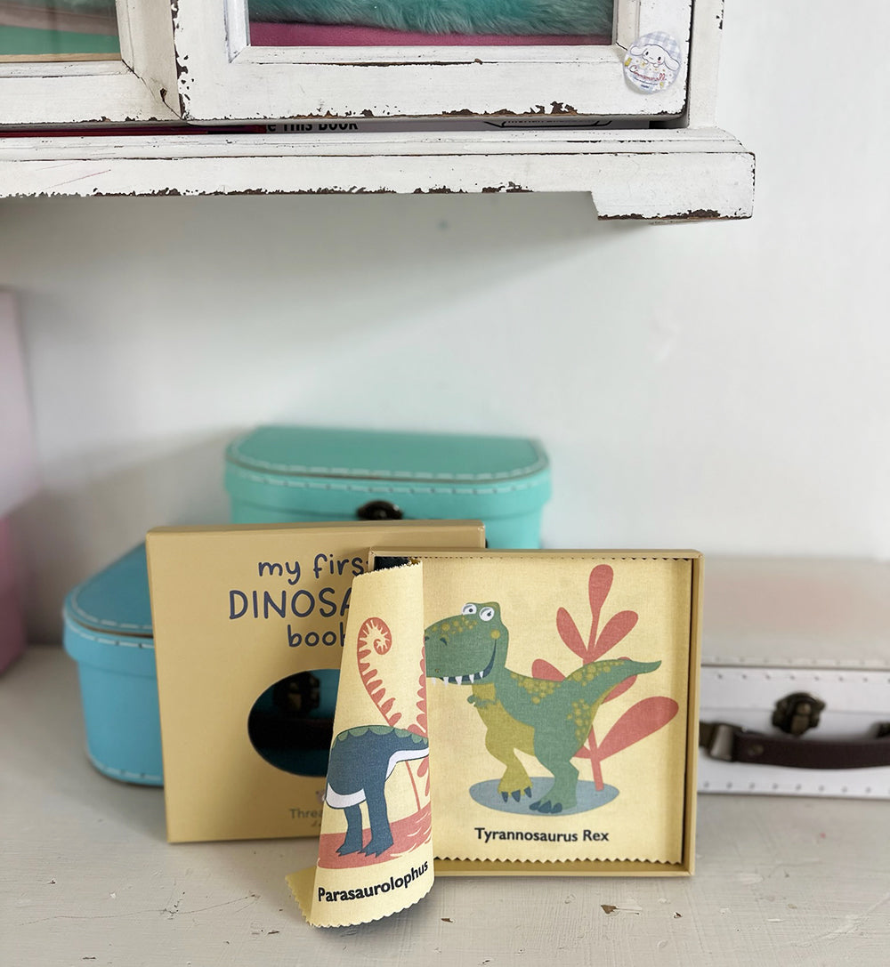 My First Dinosaur Book Rag Book