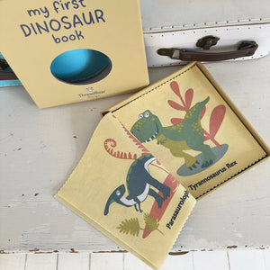 My First Dinosaur Book Rag Book