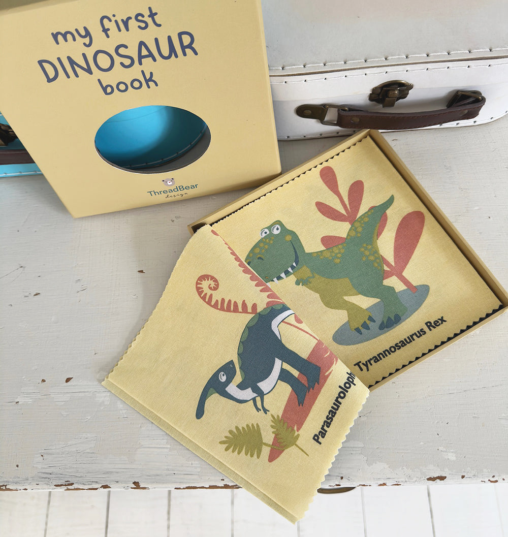 My First Dinosaur Book Rag Book