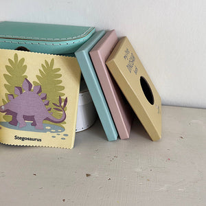 My First Dinosaur Book Rag Book