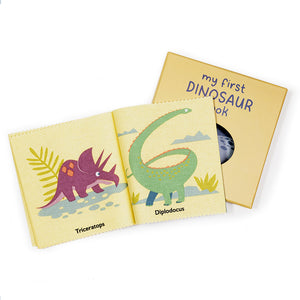 My First Dinosaur Book Rag Book