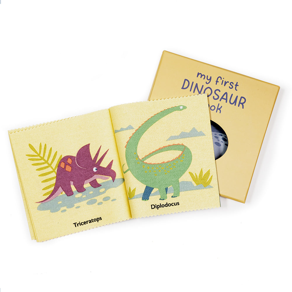 My First Dinosaur Book Rag Book